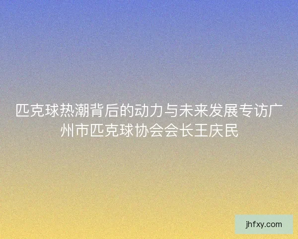 匹克球热潮背后的动力与未来发展专访广州市匹克球协会会长王庆民