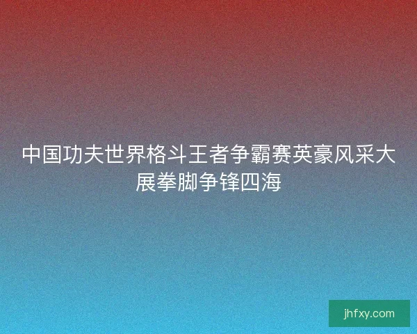 中国功夫世界格斗王者争霸赛英豪风采大展拳脚争锋四海